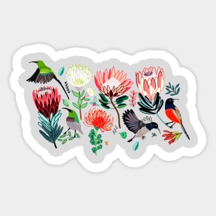 Sunbirds & Proteas On Grey Sticker